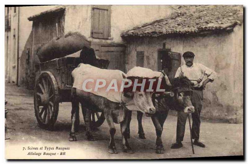 Old Postcard Scenes and Basque Folklore kinds hitch Oxen