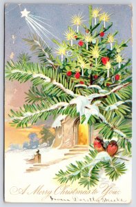 TUCK Christmas~Star Shines On Candle Lit Tree~Church~Snow~Gold~Emb~1906 UDB PC