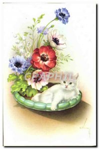 Old Postcard Fancy Cat Kitten