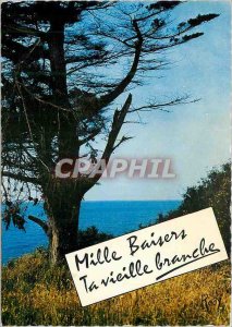 Postcard Modern Mille your old branch kisses