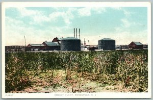 ROOSEVELT NJ CRESOT PLANT ANTIQUE POSTCARD