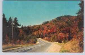 Fall Colours, Highway Scene, Sault Ste Marie Ontario, Vintage Chrome Postcard