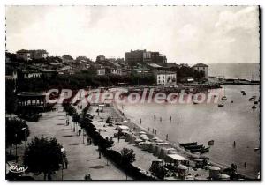 Postcard Modern Ste Maxime sur Mer Var Boulevard de La Plage