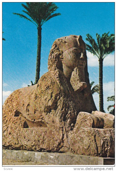 SAKARA, Sphinx of Mit Rahine, Egypt, 50-70s