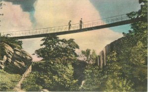 Georgia Lookout Albertype Sky Bridge Rock City Gardens Postcard 21-10380