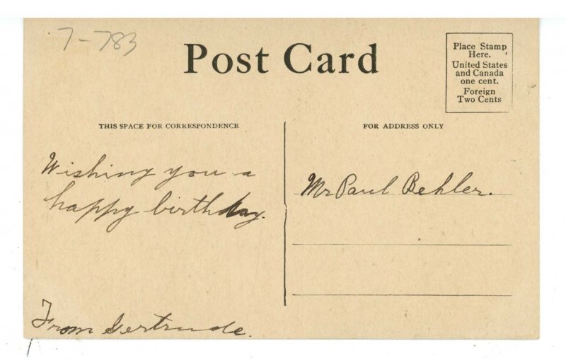 Dogs - A Blue Ribbon Champ