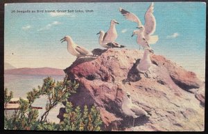 Vintage Postcard 1930-1945 Seagulls on Bird Island, Great Salt Lake, Utah (UT)