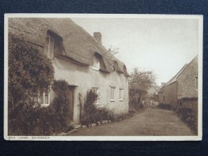 Dorset CHIDEOCK Sea Lane - Old Postcard by T.D. Balson