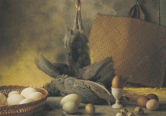 Guinea Fowl White Hens Egg Eggs Goose Duck Pheasant Still Life Food Postcard