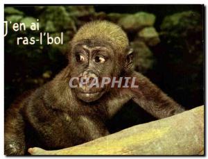 Modern Postcard J & # 39ean'm sick bil (monkey monkey)