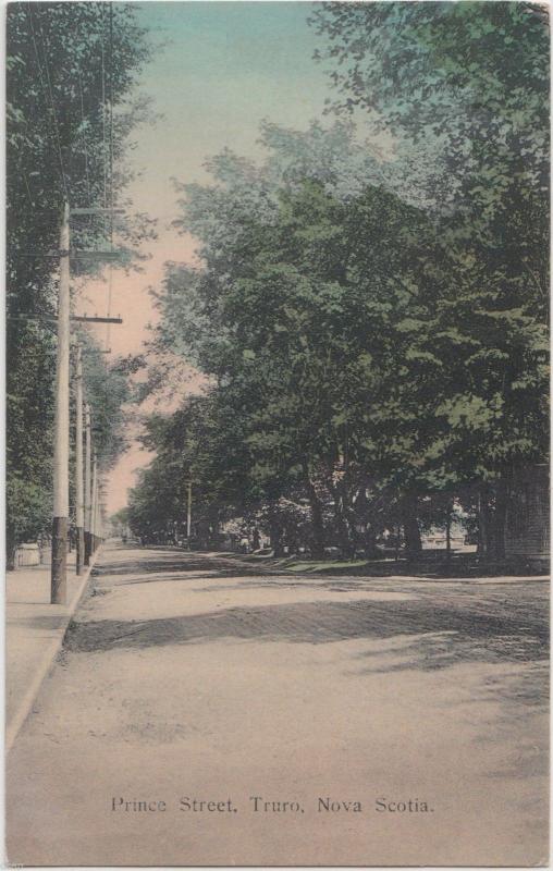 c1910 TRURO Nova Scotia Canada Postcard PRINCE STREET Homes Trees