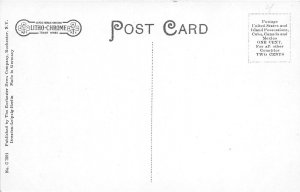 J41/ Newark New York Postcard c1910 Northern Central Railroad Depot 20