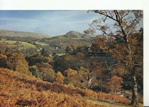 Wales Postcard - Vale of Llangollen - Near Horseshoe Falls - Ref TZ8214