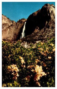 Postcard MOUNTAIN SCENE Yosemite National Park California CA AR0472