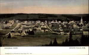 Grand Falls NB New Brunswick Birdseye View c1910 Postcard