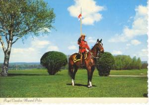 RCMP Mountie Royal Canadian Mounted Police Policeman Horse Vintage Postcard D20