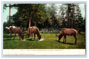 C. 1910 Point Defiance Park, Tacoma, Washington. Postcard F143E