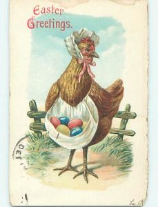 Divided-Back easter HUMAIZED CHICKEN COLLECTS EGGS IN APRON r3124