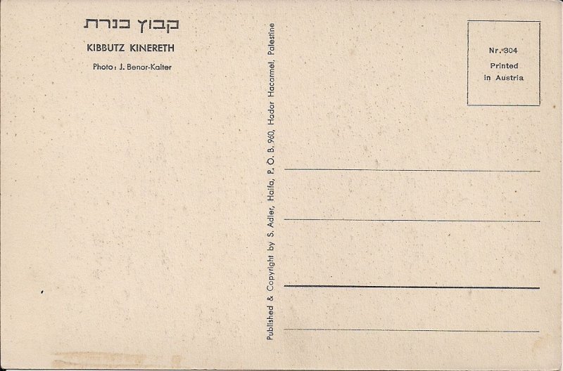 JUDAICA, Israel, Palestine, Kibbutz Kinareth pre-1948, Farm, Sea of Galilee