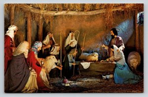 Christus Gardens  Gatlinburg  Tennessee   Postcard