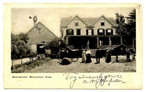 MA - Middleton. Maplehurst