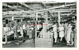 CA, San Jose, California, Fruit Canning, Pacific Novelty No. 7110, RPPC