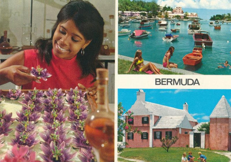 Bermuda - Semi-Tropical Flowers - Coves and Bays - Resorts