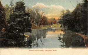 Springfield Massachusetts~Forest Park Lake~Evergreen Trees Reflect in Water~1905