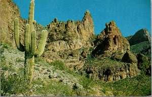 Vtg Saguaro Cactus High in the Superstition Mountains Mesa Arizona AZ Postcard