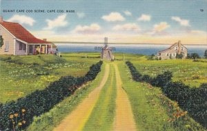 Massachusetts Cape Cod Quaint Scene