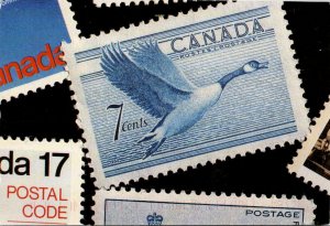 Stamps On Postcards Canada 7 Cent Flying Goose