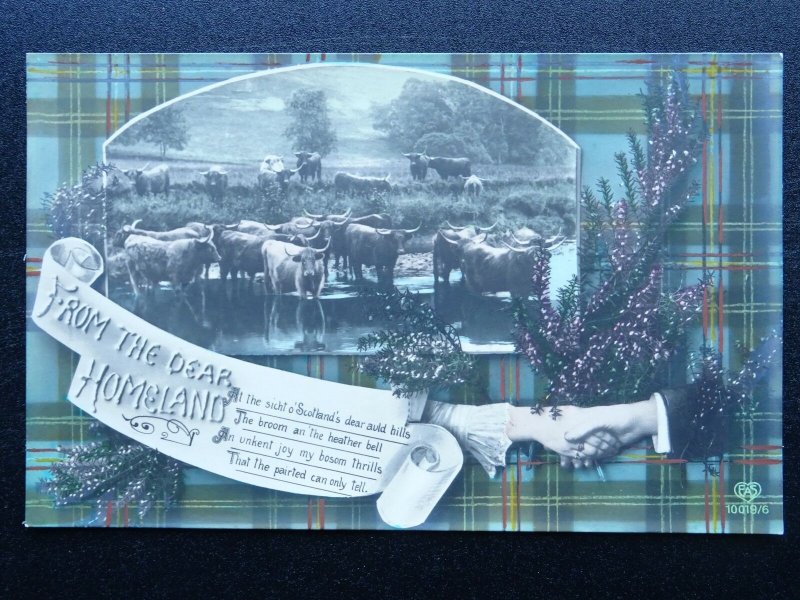 Scotland Tartan Greeting DEAR HOMELAND & HAND SHAKE / ACROSS (1) c1906 Postcard