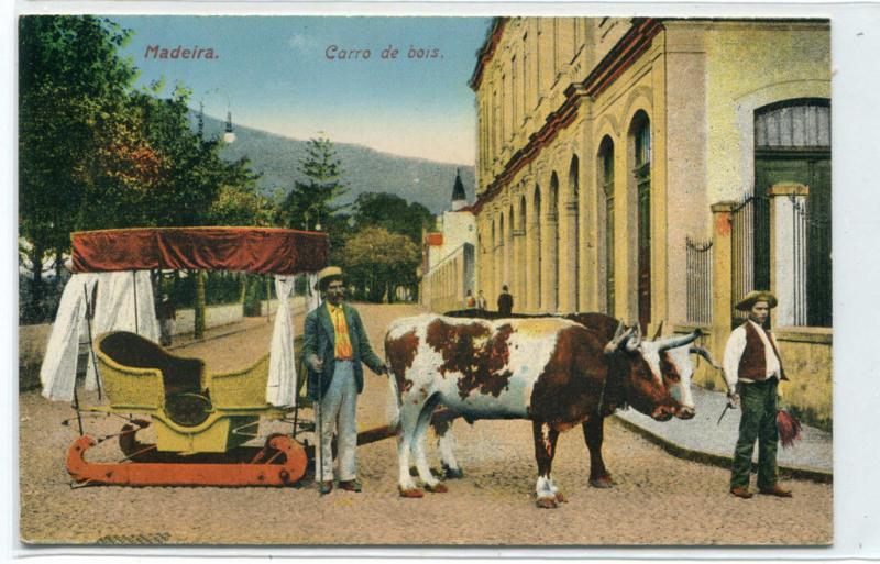 Carro de Bois Ox Sled Madeira Portugal 1910c postcard