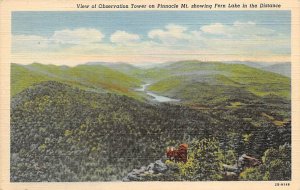 View of observation tower on Pinnacle Mt Showing Fern Lake in the Distance Pi...