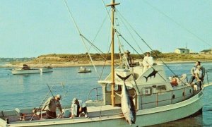 Postcard Boat with Tuna in Tuna Tournament , Galilee Fishing Village, RI.  T8