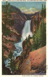 Vintage Postcard Lower Falls Great Falls From Red Dock Yellowstone National Park