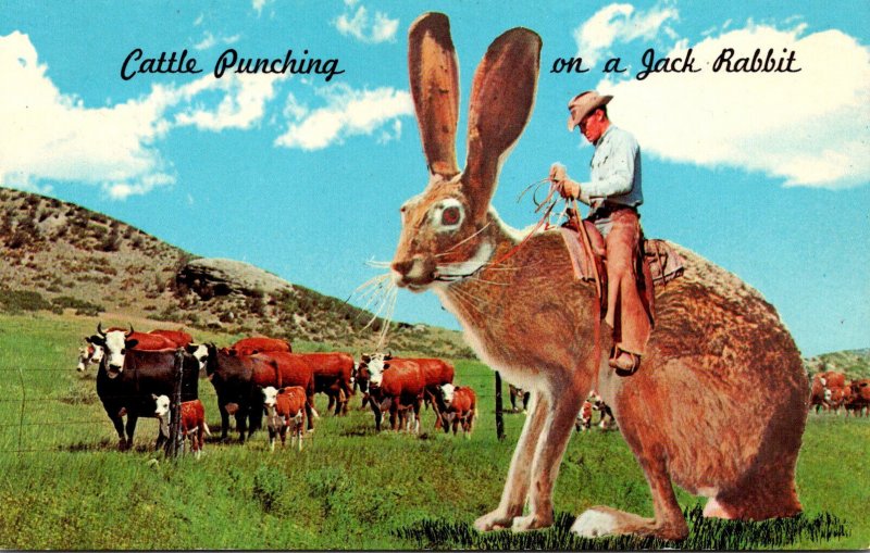 Humour Exageration Cattle Punching In The West On A Jack Rabbit