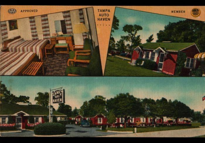 Tampa Auto Haven Motel FL Multi View Postcard B02