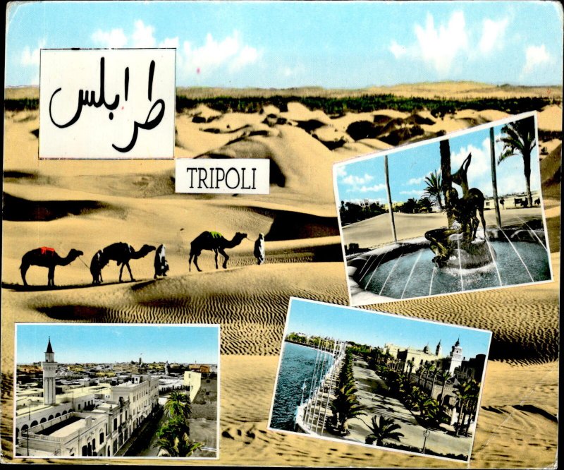 IMN5483 tripoli camel Libya africa camel types 