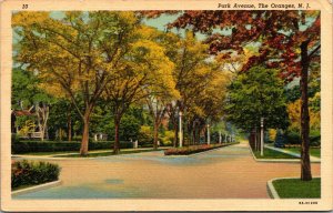 Vtg 1930s Park Avenue Street View The Oranges New Jersey NJ Linen Postcard