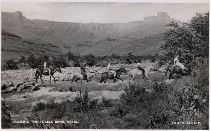 Crossing The Tugela River Western Cowboy Style Natal Africa RPC Postcard