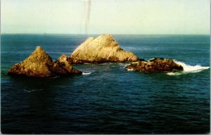 Vtg 1950s Seal Rocks near the Cliff House San Francisco CA Postcard