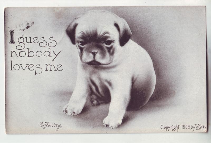 P1117 1910 used comic volby stamped card cute puppy i guess nobody loves me