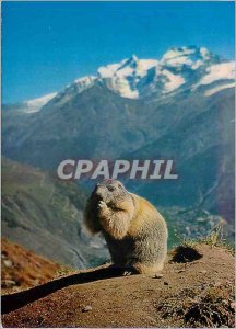 Postcard Modern 86,921 I look forward to the sun