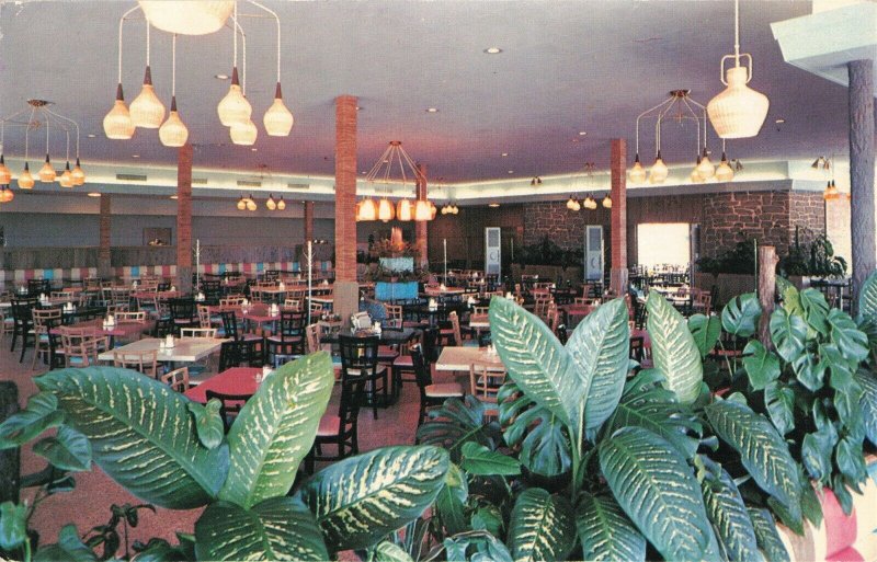 c.1960 Driftwood Cafeteria Interior View Florida Postcard 2T7-121