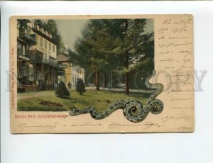 3172886 GERMANY GRUSS aus Schlangenbad Vintage postcard