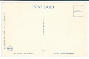 Chimney Rock Mountain, NC - Old King Tut