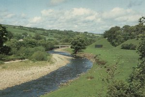 Kenneth Bridge Frosterley Durham Postcard