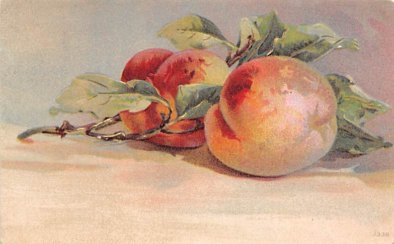 Peaches Still Photograph 1911 