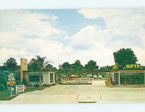 Unused Pre-1980 ORANGE BLOSSOM MOTEL Ocala Florida FL n8083@